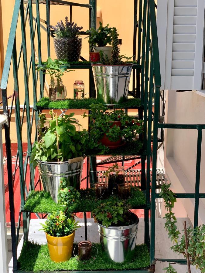 مدينة زاكينثوس Aestas Home المظهر الخارجي الصورة
